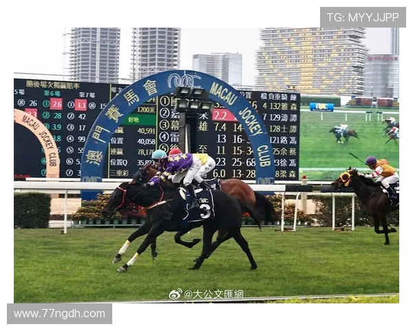 全面解析澳门开奖结果十开奖记录表及其投注策略